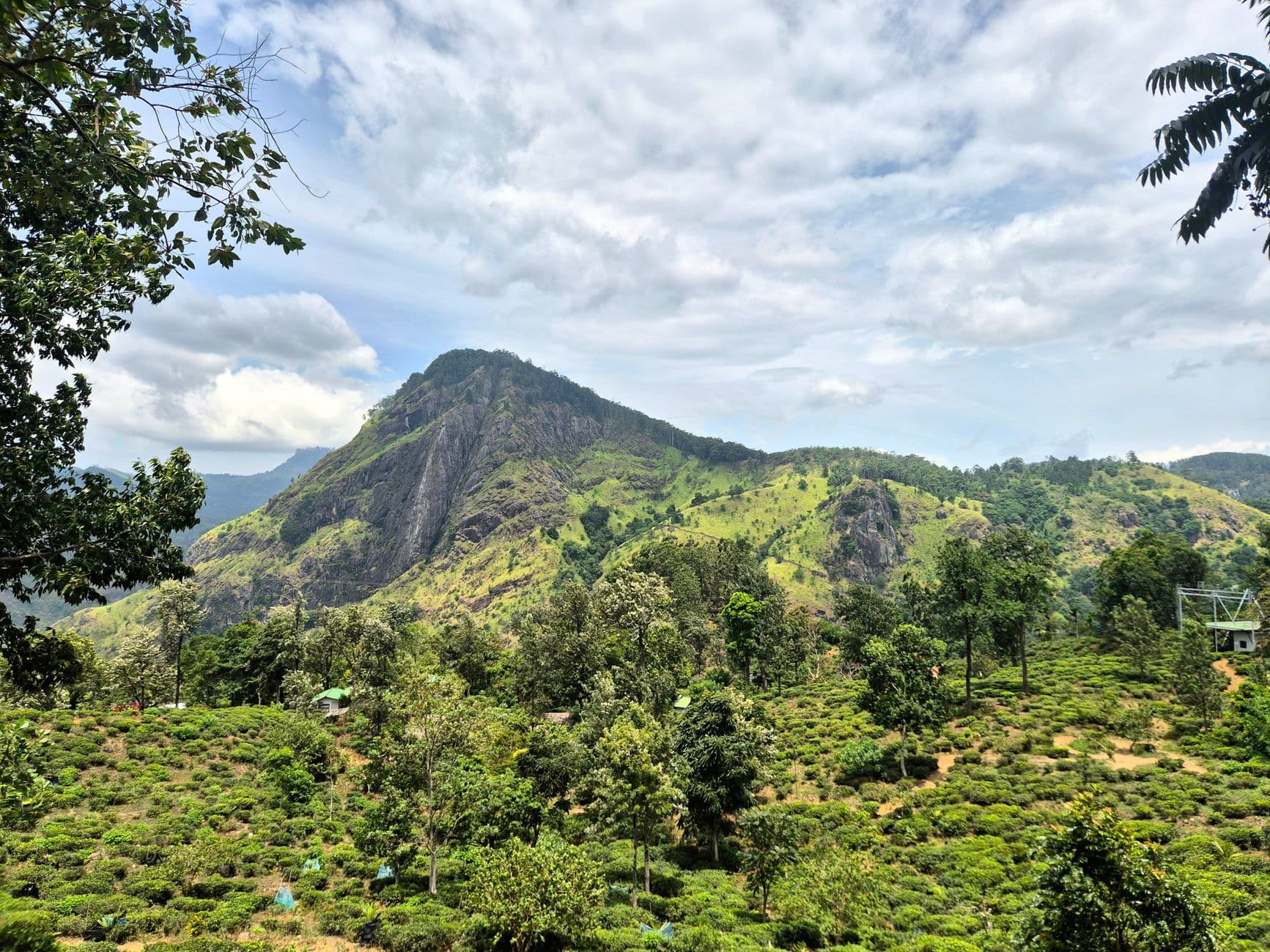 Tea slopes and peaks above the town of Ella