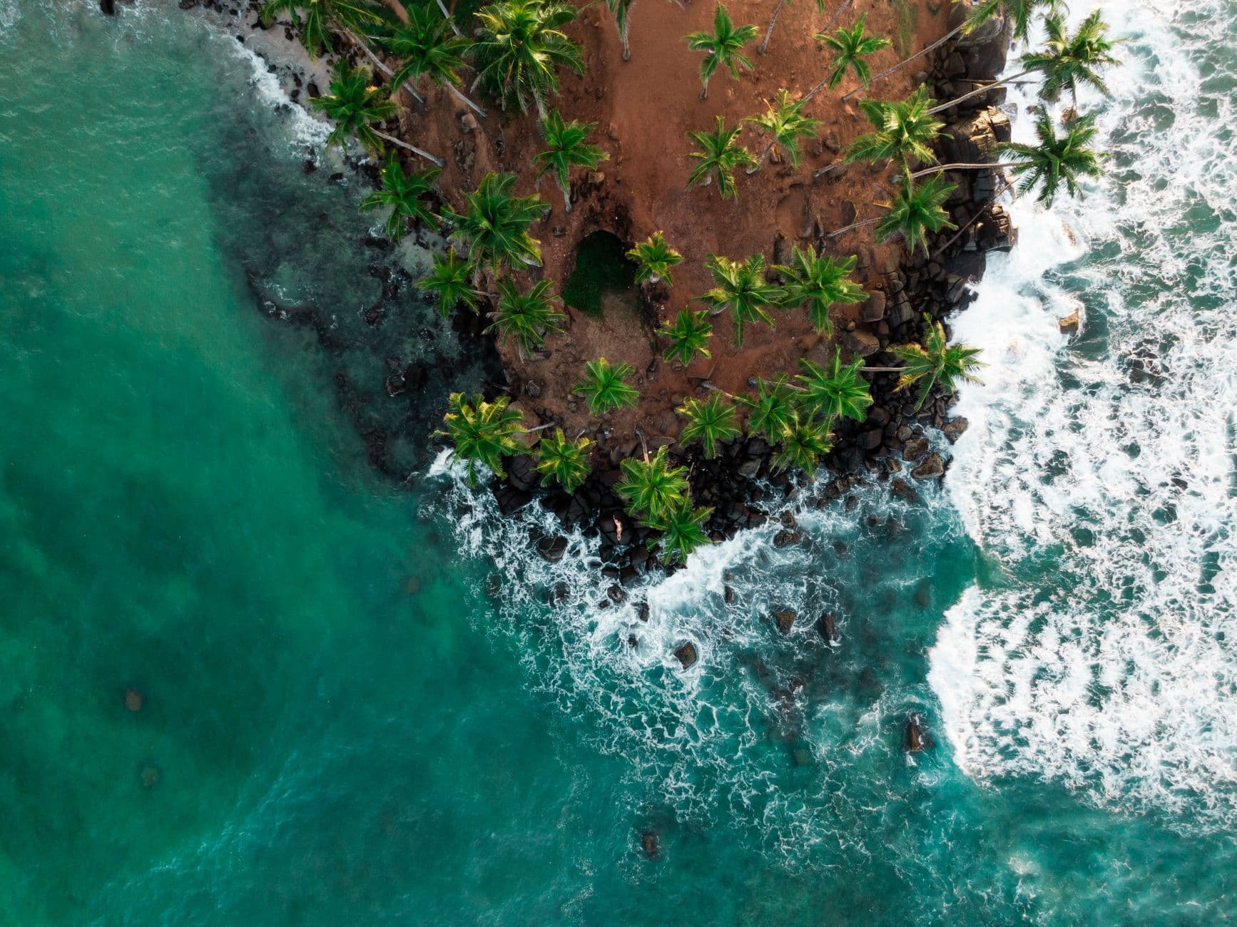 Palms crowding Coconut Tree Hill above Mirissa