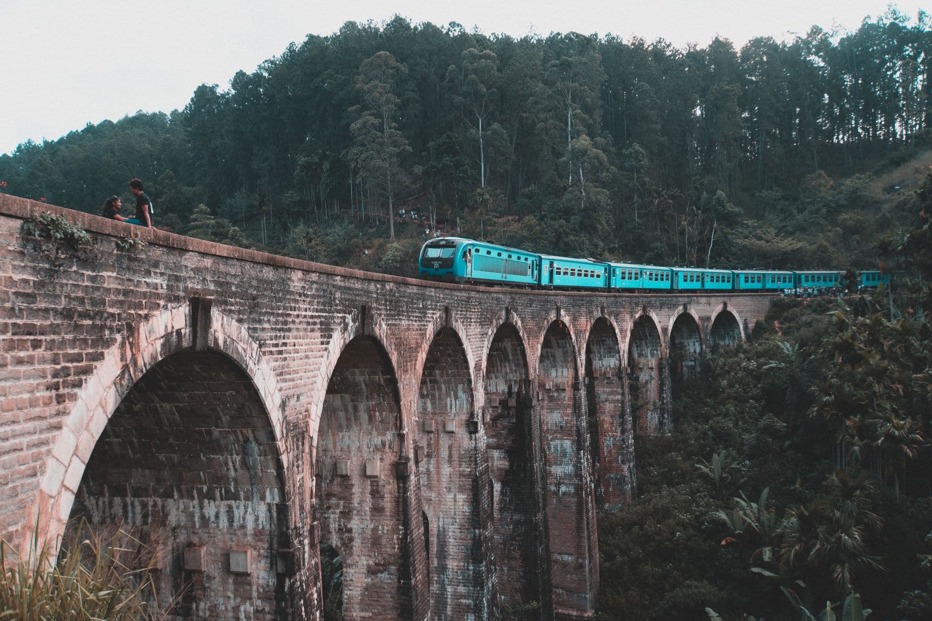Scenic hill-country train on a 10-day Sri Lanka route