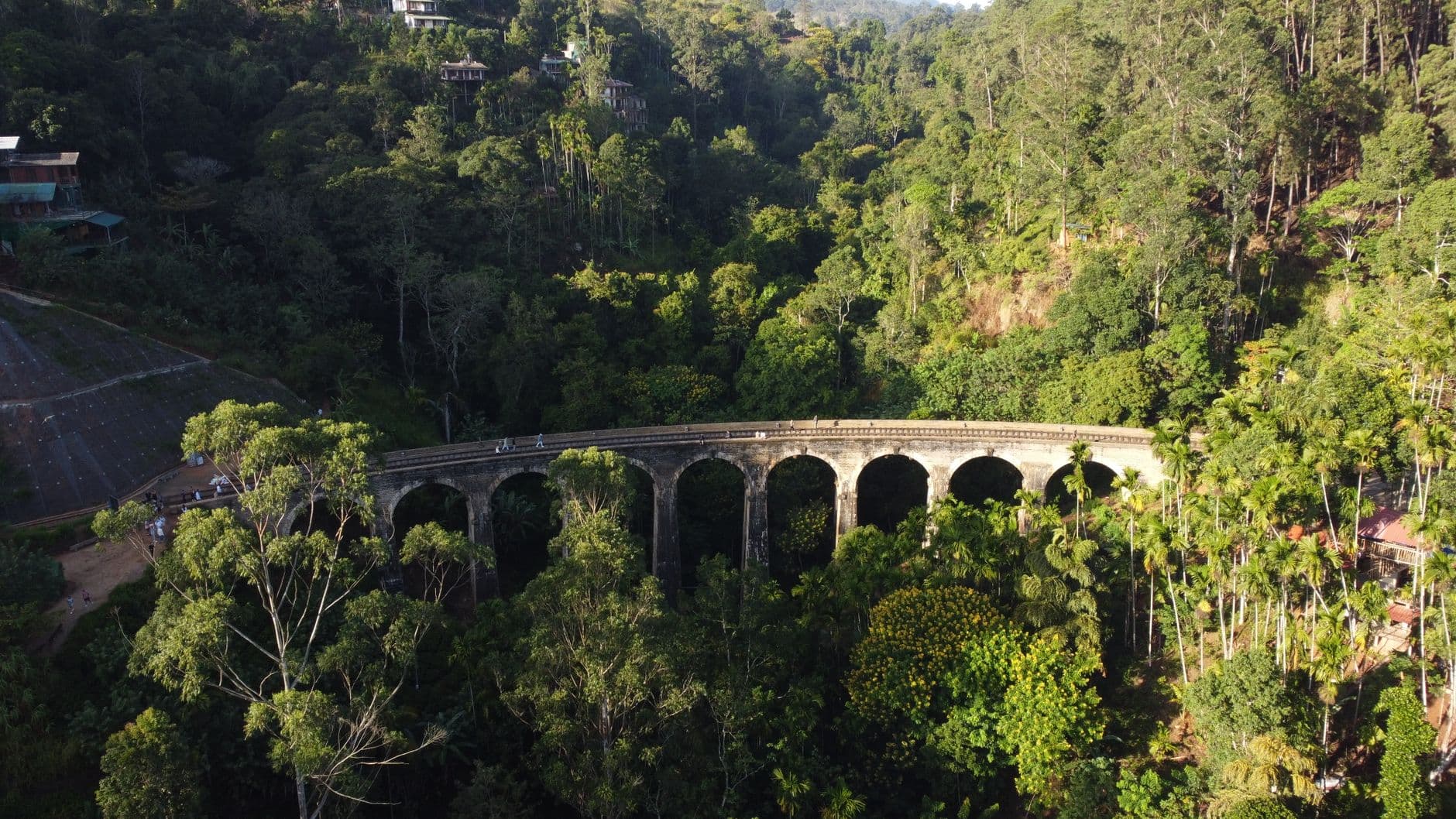 The blue train crossing tea country on the way to Ella